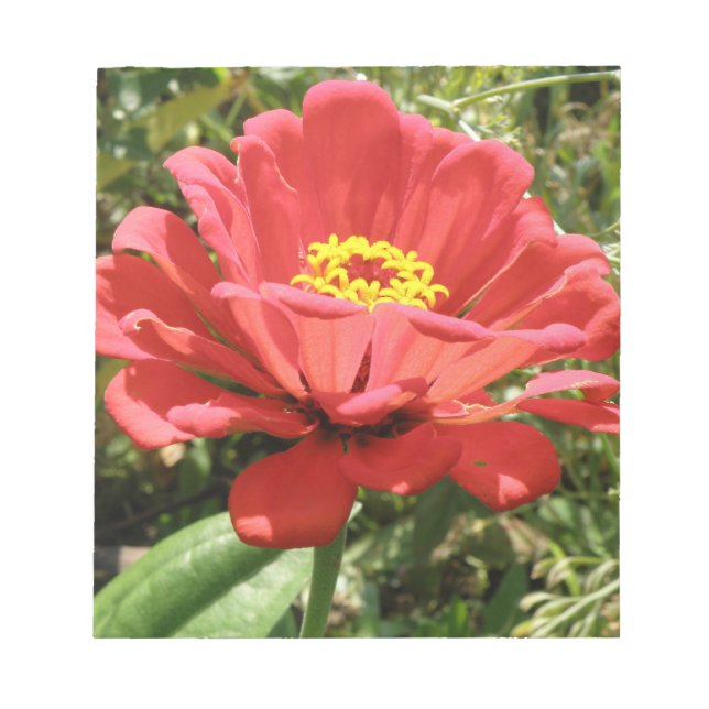 Red Zinnia Notepad (Front)