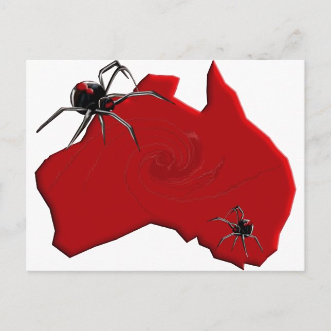 Redback Spider Australia Postcard (Front)