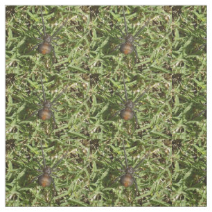 Redback Spider On Green Grass, Fabric
