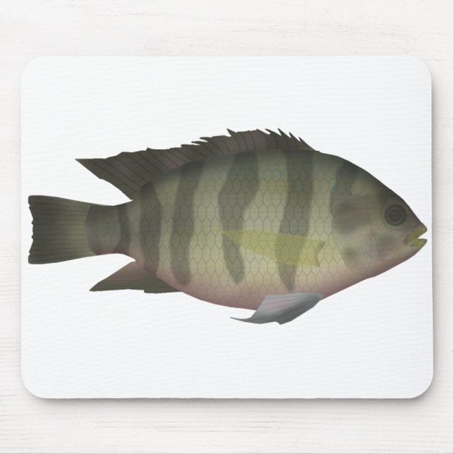 Redbelly Tilapia Mouse Mat (Front)