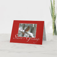 Redbird Seasons Greetings