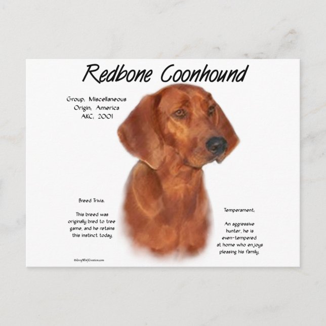 Redbone Coonhound History Design Postcard (Front)