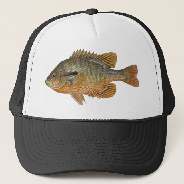 Redbreast Sunfish - Lepomis auritus Trucker Hat (Front)