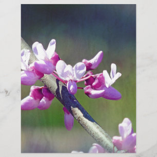 RedBud