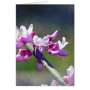 RedBud