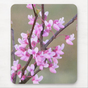 Redbud Bloom Mouse Mat