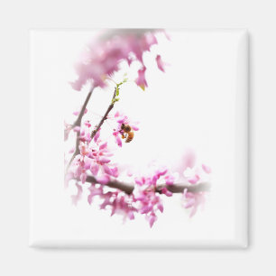 Redbud & honeybee-8742 magnet