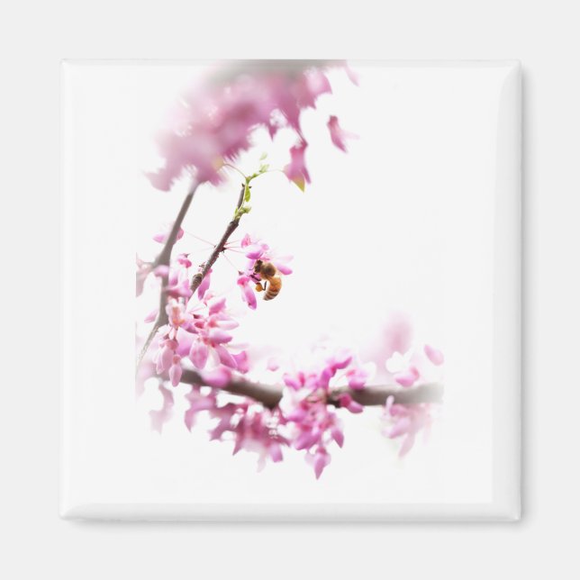 Redbud & honeybee-8742 magnet (Front)