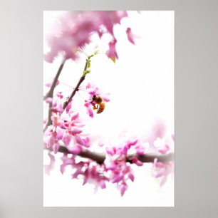 Redbud & honeybee in Springtime Poster