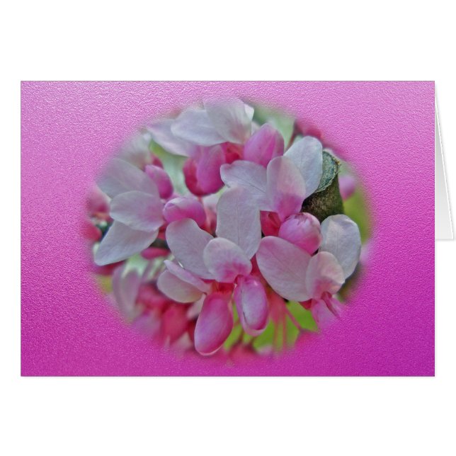 Redbud Tree Blossoms Items (Front Horizontal)