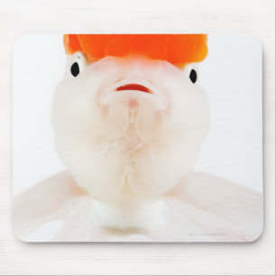Redcap lionhead goldfish (Carassius auratus) Mouse Mat