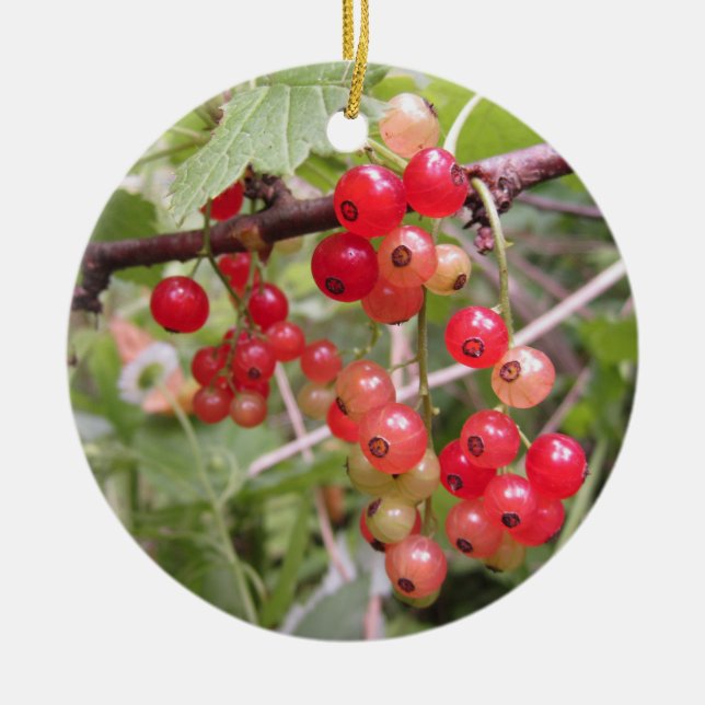 Redcurrant Ceramic Tree Decoration (Front)