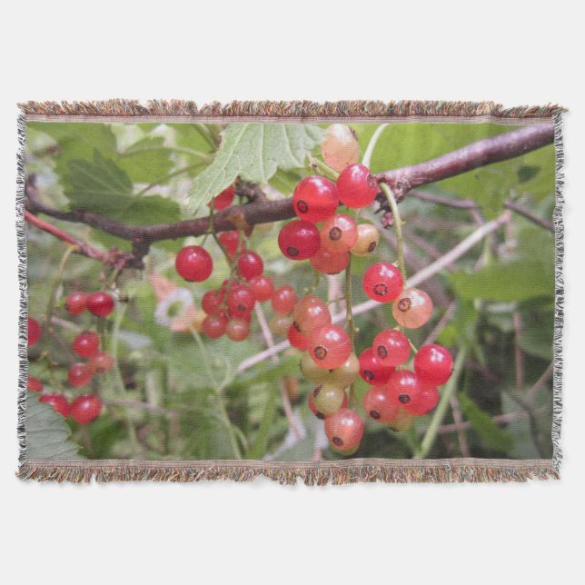 Redcurrant Throw Blanket (Front)