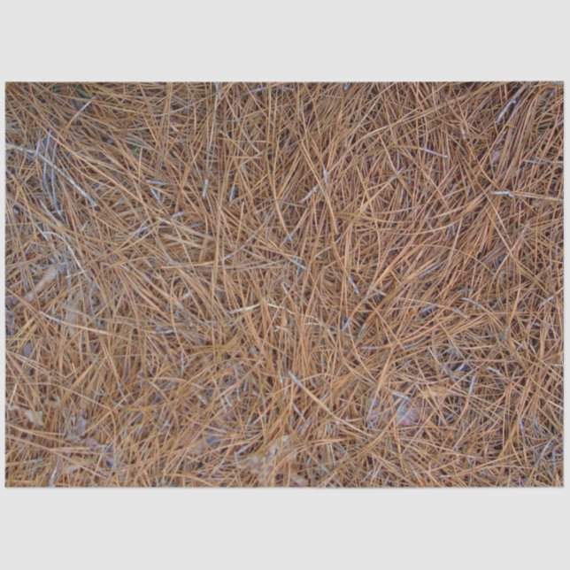 Reddish brown pine straw needles photo tissue paper (Front)