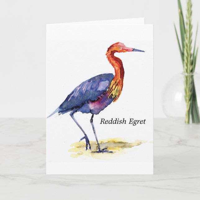 Reddish Egret note card (Front)