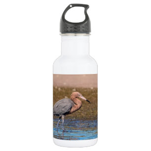 Reddish Egret on North Beach 532 Ml Water Bottle
