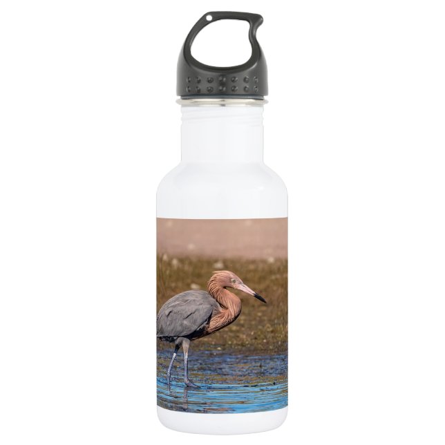 Reddish Egret on North Beach 532 Ml Water Bottle (Front)