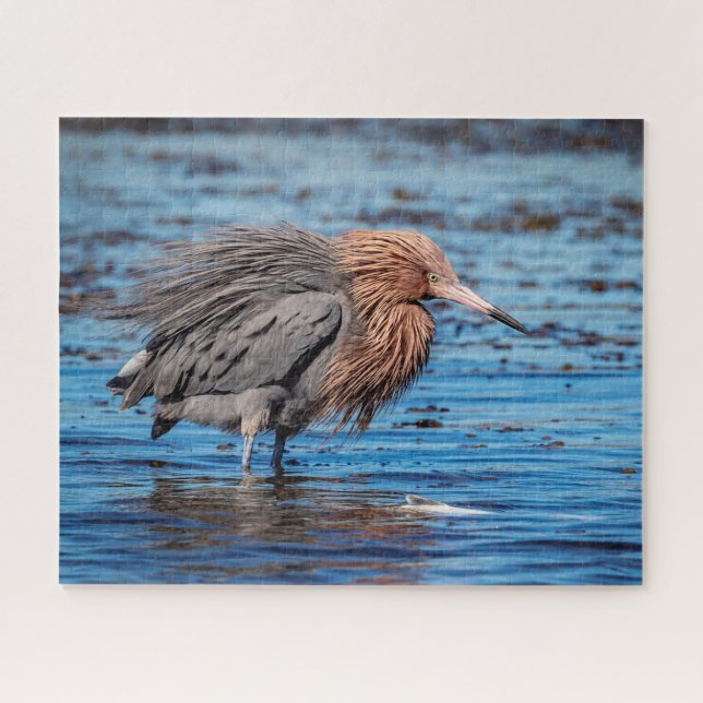 Reddish Egret on North Beach Jigsaw Puzzle (Horizontal)