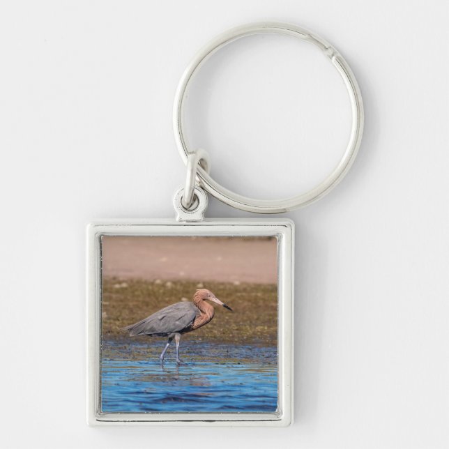 Reddish Egret on North Beach Key Ring (Front)