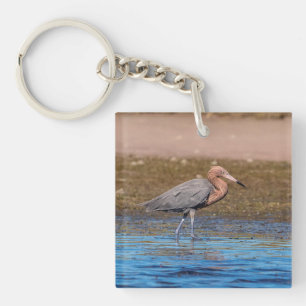 Reddish Egret on North Beach Key Ring
