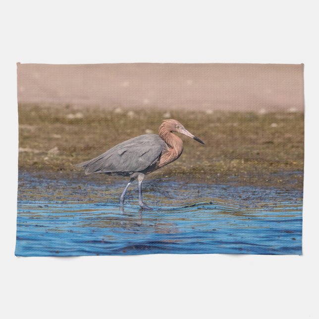 Reddish Egret on North Beach Tea Towel (Horizontal)
