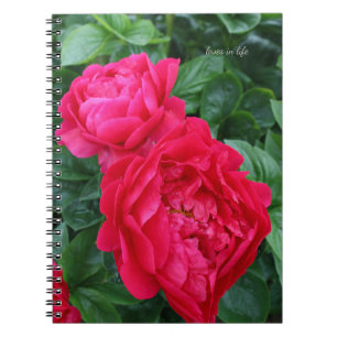 Reddish Pink Peony Notebook