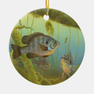 Redear Sunfish Lepomis Microlophus Timothy Knepp Ceramic Tree Decoration