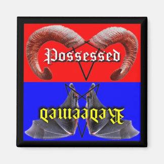 Redeemed/Possessed Dishwasher Magnet