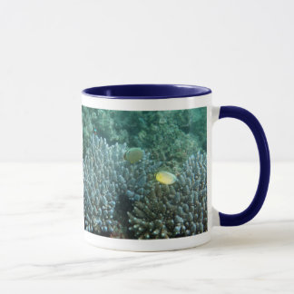 Redfin Butterflyfish (Chaetodon lunulatus) Mug