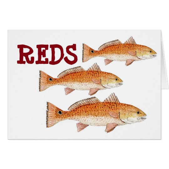 Redfish Greetings Card