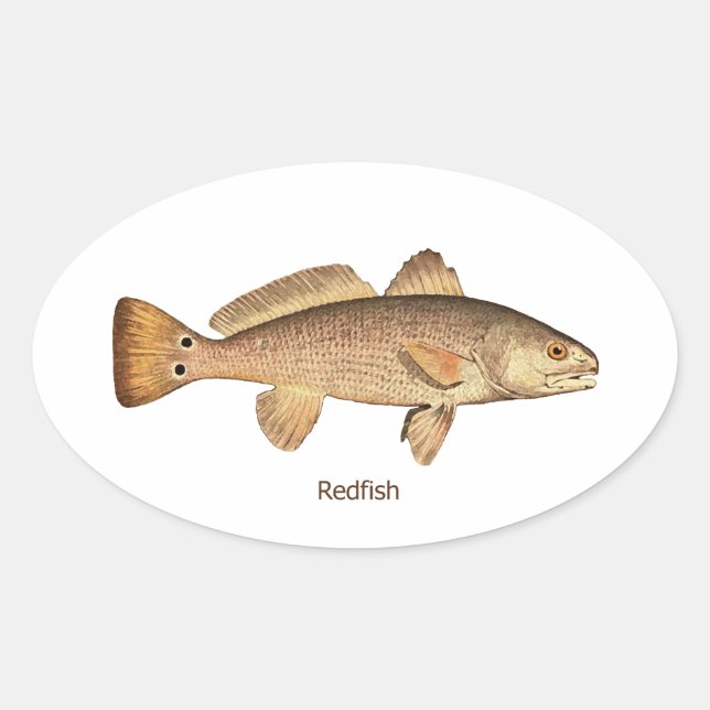 Redfish Logo Oval Sticker (Front)