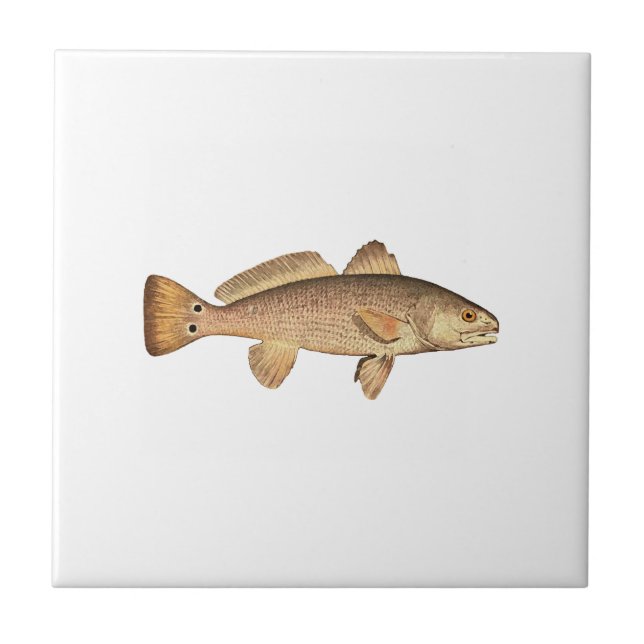 Redfish Logo Tile (Front)