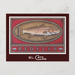 Redfish Postcards
