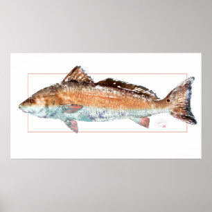 Redfish Poster