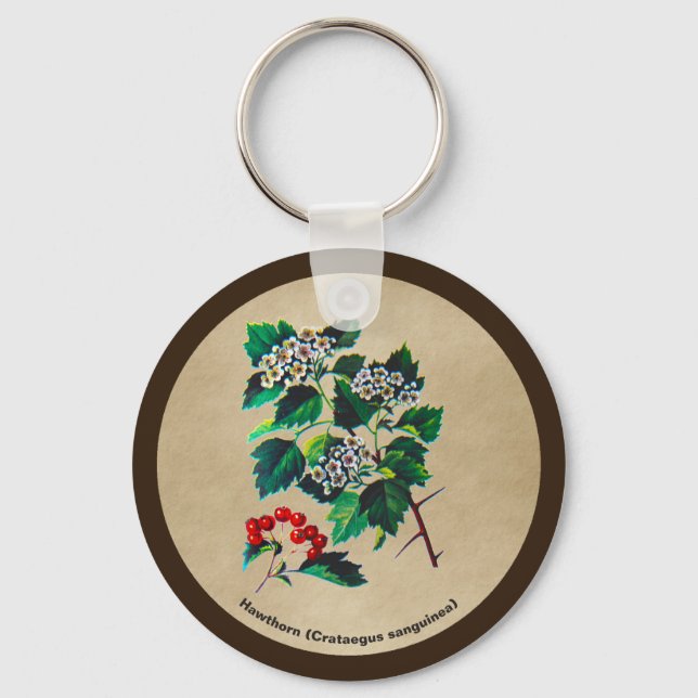 Redhaw Hawthorn On Old Paper Key Ring (Front)