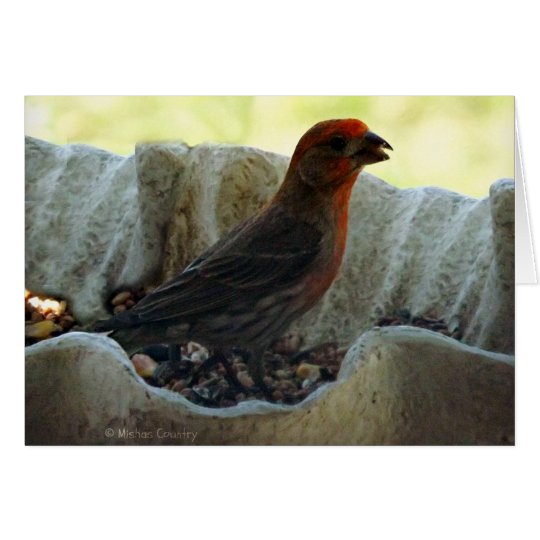 Redhead Bird Card