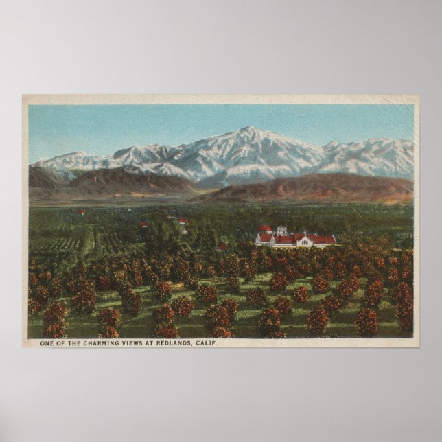 Redlands, CA - Mountain & Orchard Scene Poster (Front)