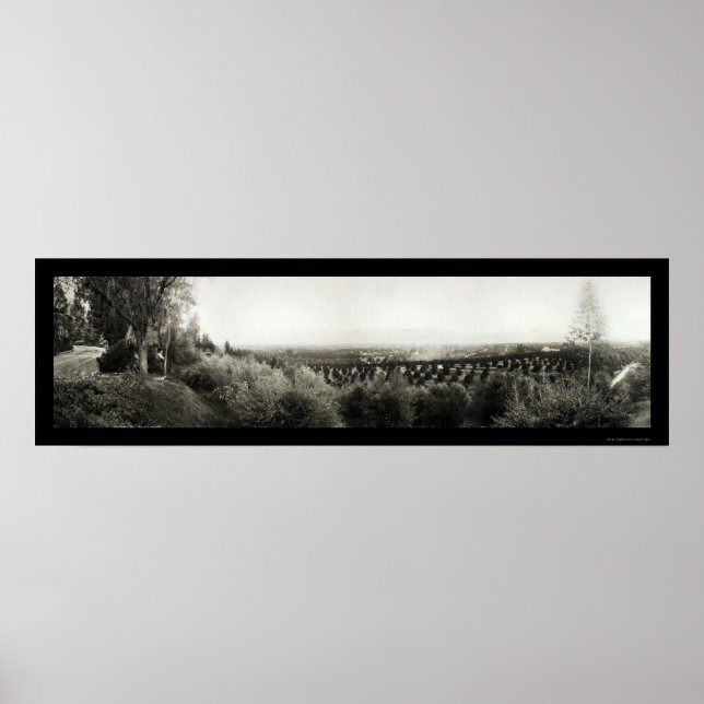 Redlands California Photo 1907 Poster (Front)