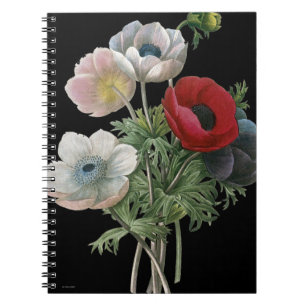 Redoute: Anemone, 1833 Notebook