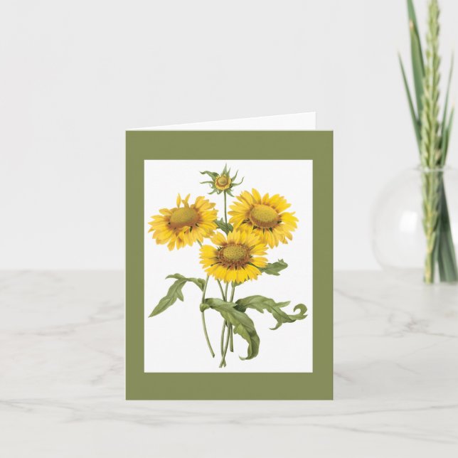 Redoute Blanket Flower Notecard (Front)