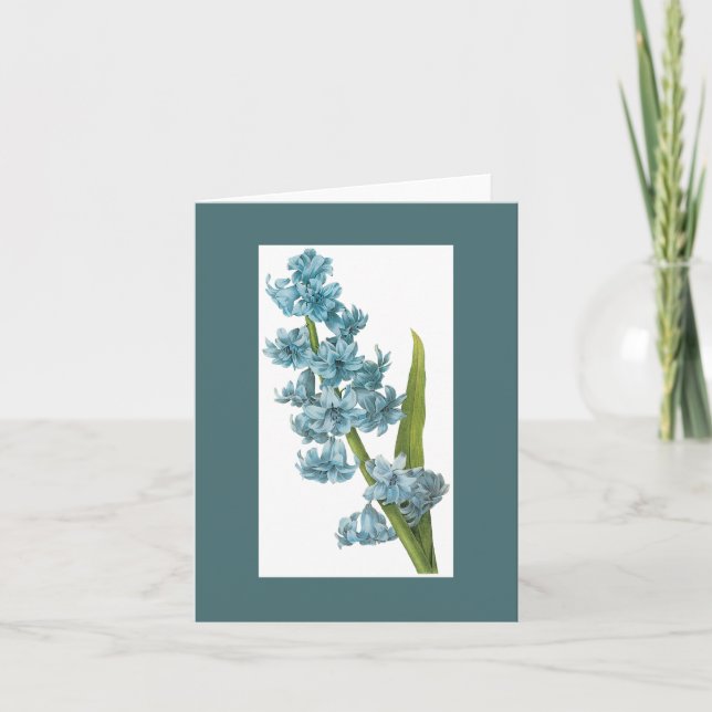 Redoute Blue Hyacinth Notecard (Front)
