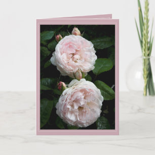 Redoute Card II