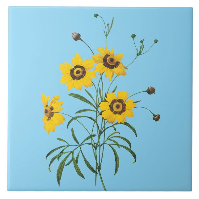  Redoute Coreopsis Flower Tile (Front)