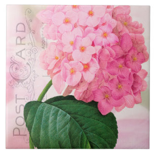 Redoute French Pink Hydrangea Ceramic Tile