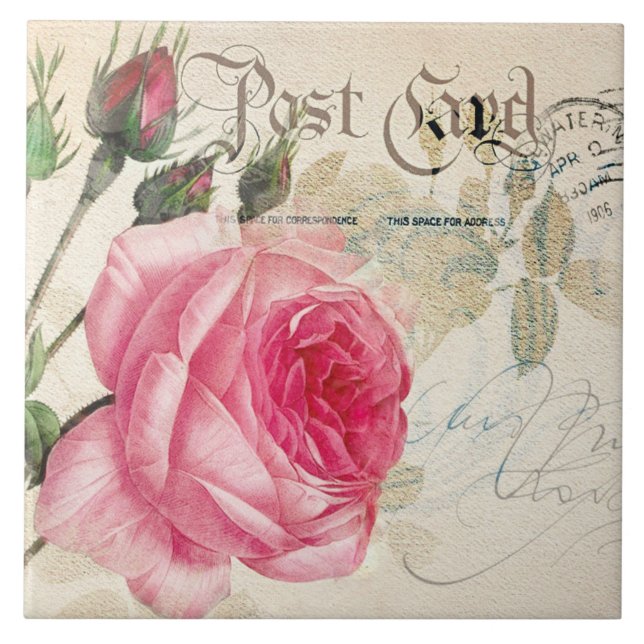 Redoute French Pink Rose Postcard Ceramic Tile (Front)