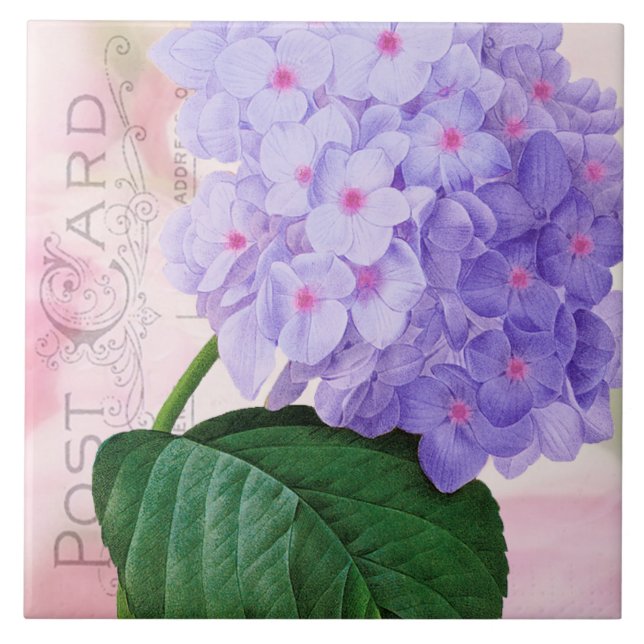 Redoute French Purple Hydrangea Ceramic Tile (Front)