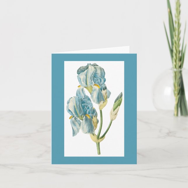 Redoute Iris Notecard (Front)