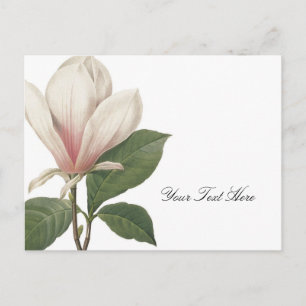 Redoute Magnolia Postcard