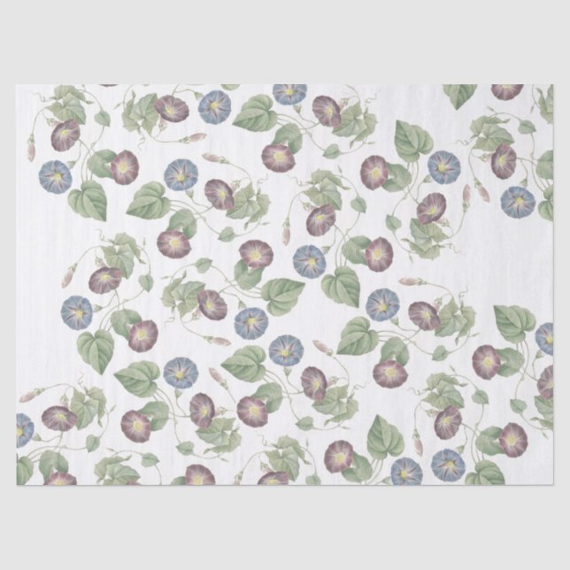 Redoute Morning Glory Flowers Tissue Paper (Front)