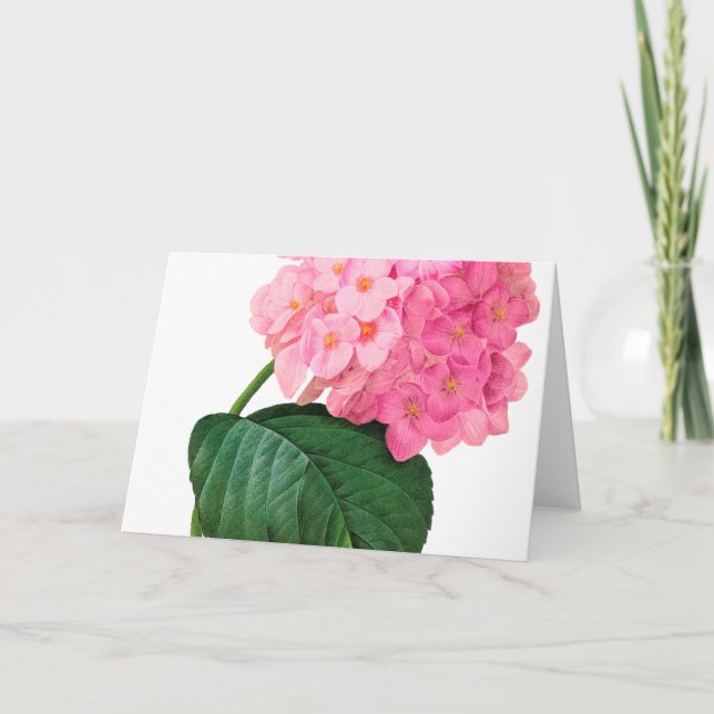 Redoute Pink Hydrangea Greeting Card (Front)